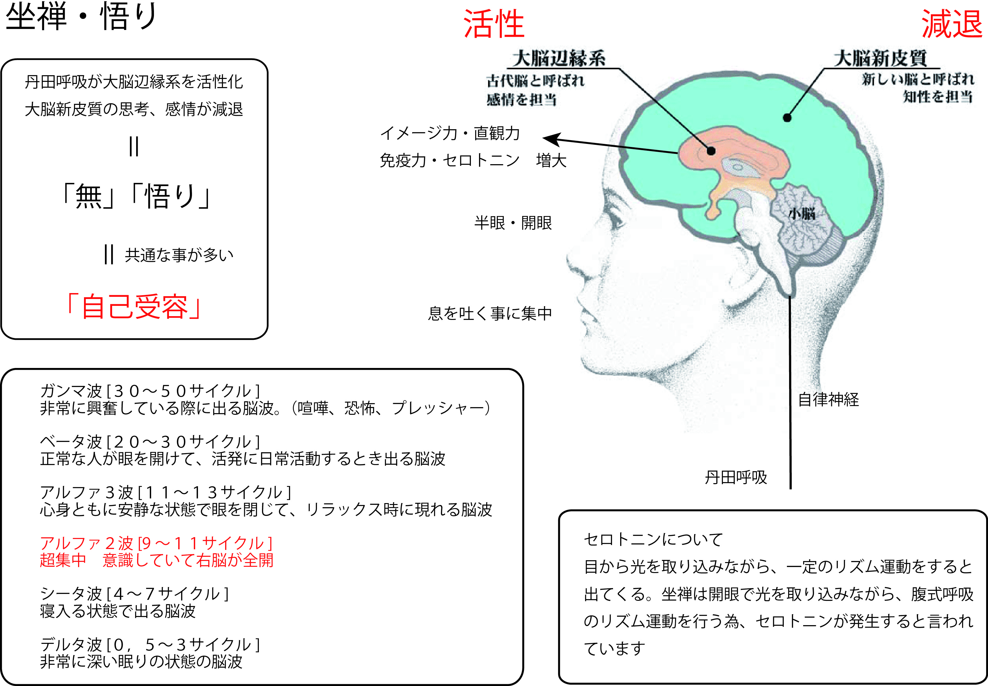 禅の 悟り と 自己受容 自己受容