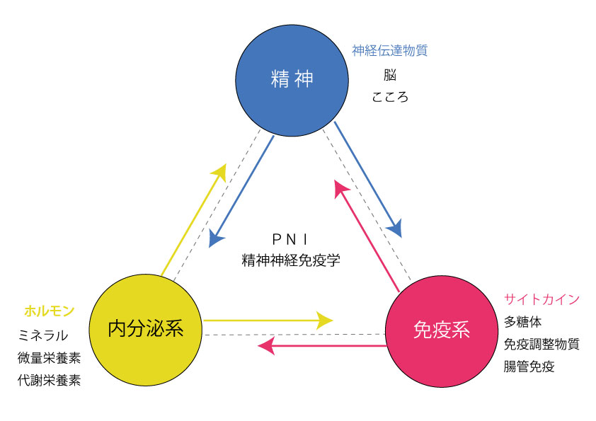PNI の例にはどのようなものがありますか?